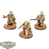 Space Marines - 3x Bladeguard Veteran Squad - bemalt
