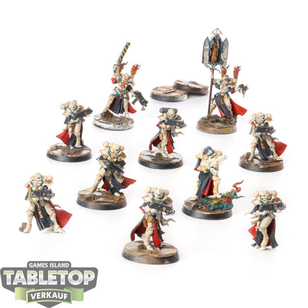 Adepta Sororitas - 10x Battle Sisters Squad - bemalt