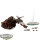 Space Marines - Stormraven Gunship - teilweise bemalt