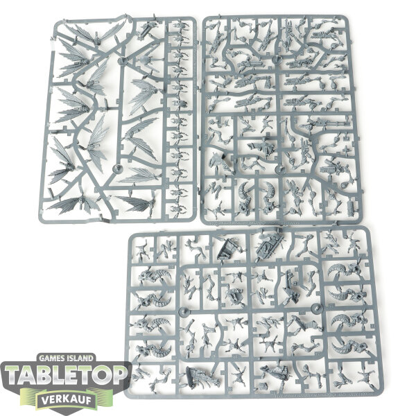 Tau Empire - 10 Kill Team: Vespid Stingwings  - im Gussrahmen