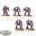 Space Marines - 5x Terminator Squad klassisch - bemalt
