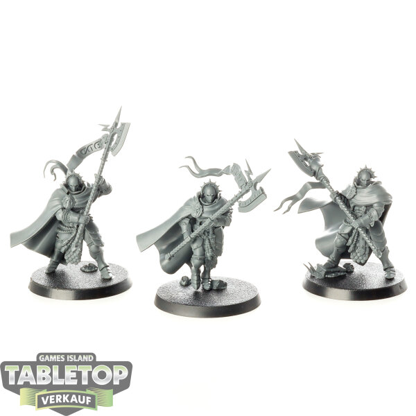 Stormcast Eternals - 3 Praetors - unbemalt