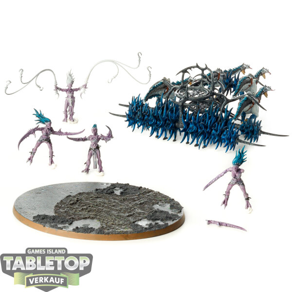 Hedonites of Slaanesh - Tormentbringer / Bladebringer - teilweise bemalt
