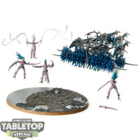 Hedonites of Slaanesh - Tormentbringer / Bladebringer -...