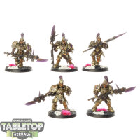 Adeptus Custodes - 5 Custodian Guard - bemalt
