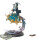 Disciples of Tzeentch - Magister on Disc of Tzeentch - bemalt