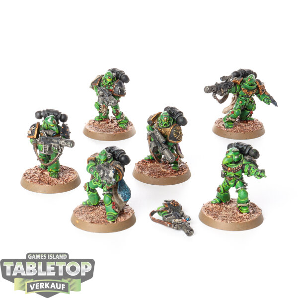 Space Marines - 6x Sternguard Veterans klassisch - bemalt