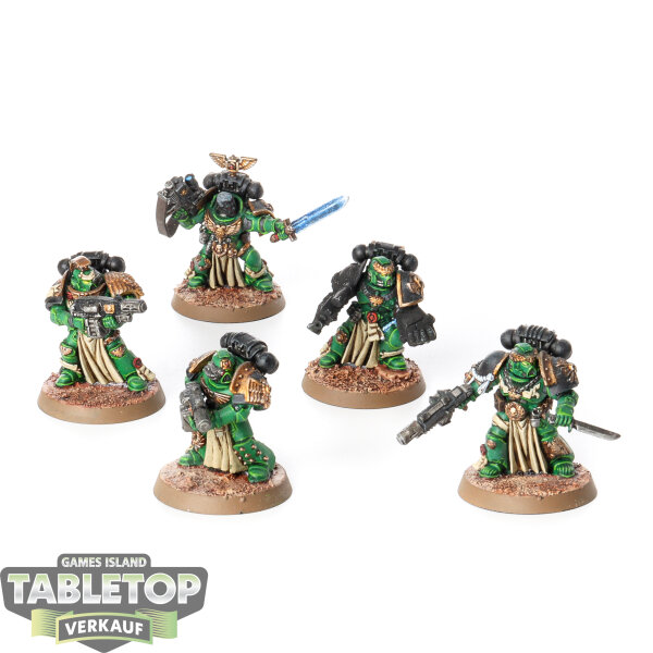 Space Marines - 5x Sternguard Veterans klassisch - teilweise bemalt