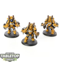 Imperial Fists - 3x Aggressor Squad - bemalt