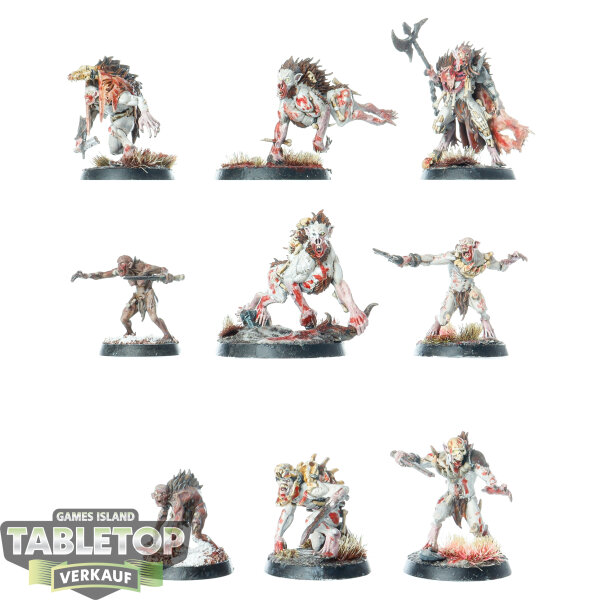 Flesh-eater Courts - 9 Warcry: Royal Beastflayers - bemalt