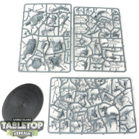 Orruk Warclans - Swampboss Skumdrekk - im Gussrahmen