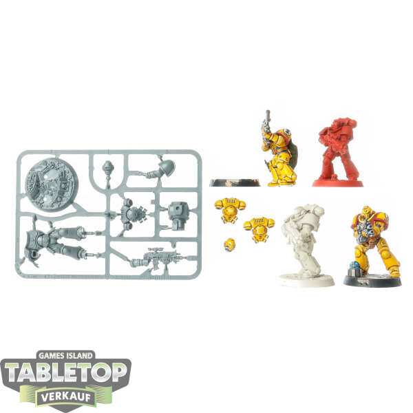 Imperial Fists - 5x Intercessor Squad - teilweise gebaut