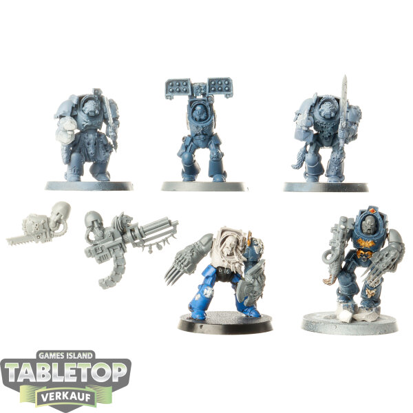 Space Wolves - 5x Wolf Guard Terminators - teilweise bemalt