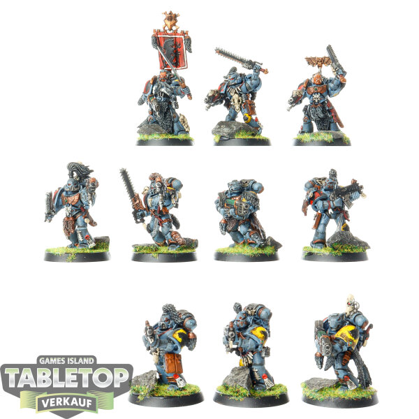 Space Wolves - 10x Grey Hunters klassisch - bemalt