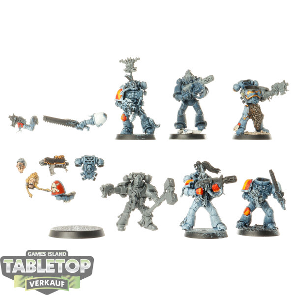 Space Wolves - 6x Grey Hunters klassisch - teilweise bemalt