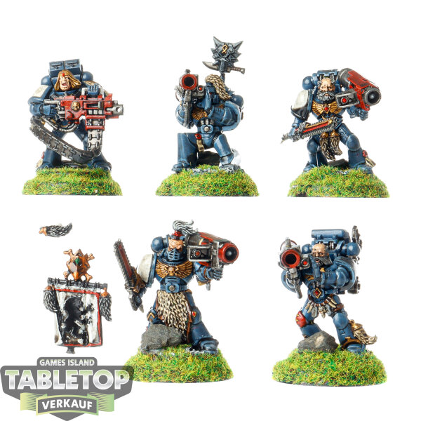 Space Wolves - 5x Long Fangs - bemalt