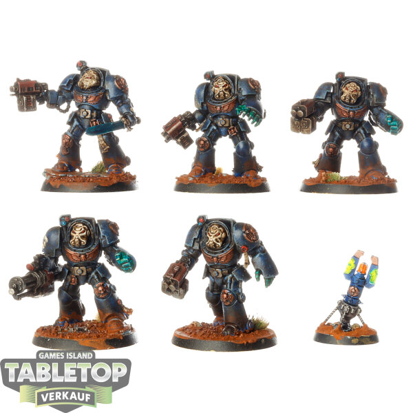 Ultramarines - 5x Terminator Squad - bemalt
