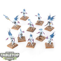 Hedonites of Slaanesh - 10 Daemonettes of Slaanesh - bemalt