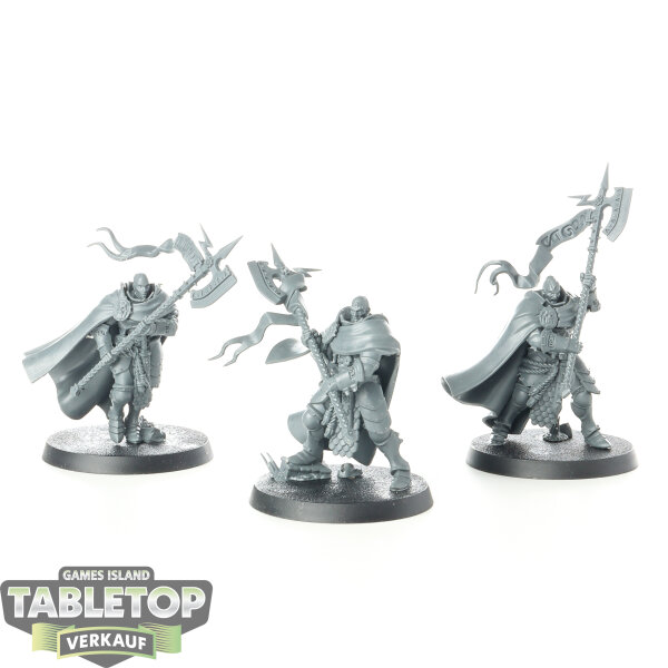Stormcast Eternals - 3x Praetors - unbemalt