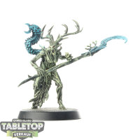 Sylvaneth - Branchwych  - teilweise bemalt