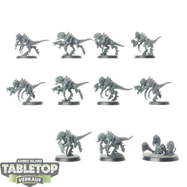 Tyraniden - 10 Termagants - unbemalt