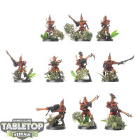 Drukhari - 10x Kabalite Warriors - bemalt