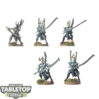 Drukhari - 5x Incubi klassisch - bemalt