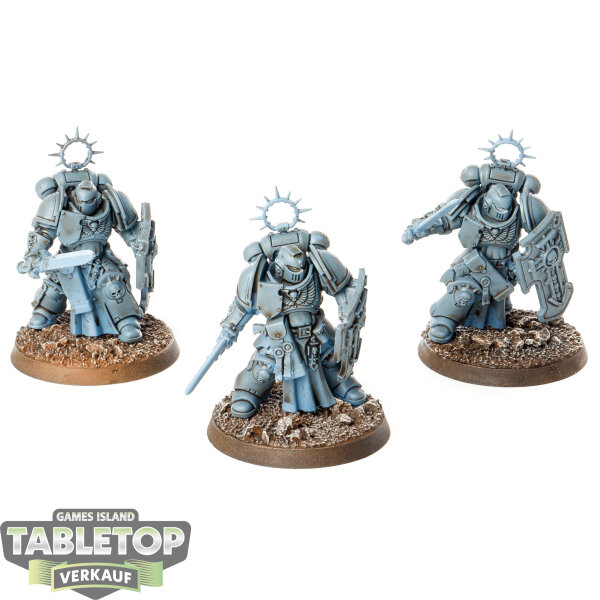 Space Marines - 3x Bladeguard Veteran Squad - teilweise bemalt