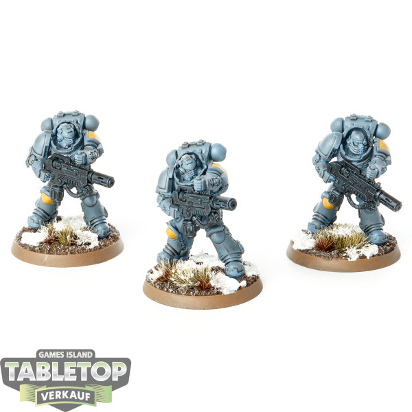 Space Marines - 3x Primaris Eradicators - teilweise bemalt