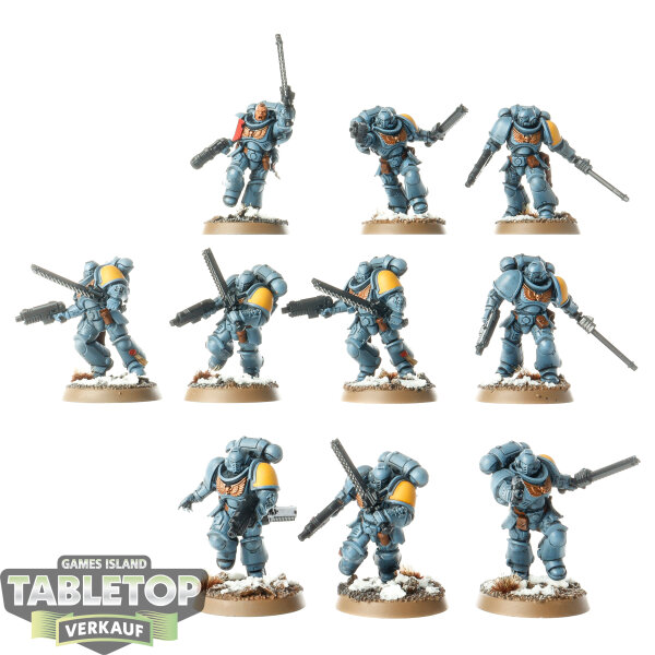 Space Marines - 10x Assault Intercessor Squad - teilweise bemalt