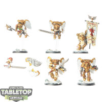 Blood Angels - 5 x Sanguinary Guard klassisch - bemalt