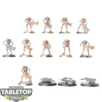 Necrons - 10 x Necron Warriors - teilweise bemalt