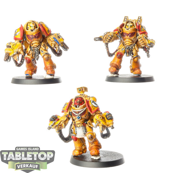 Space Marines - 3x Aggressor Squad - bemalt