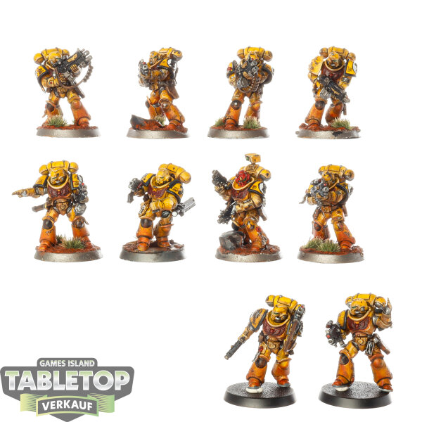 Space Marines - 10x Intercessor Squad - bemalt