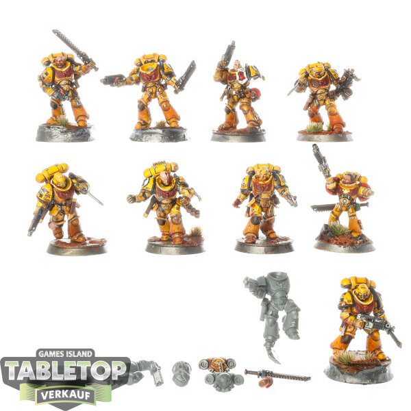 Space Marines - 10x Assault Intercessor Squad - teilweise bemalt