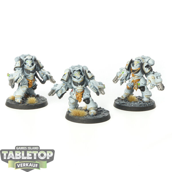 Space Wolves - 3x Aggressor Squad - bemalt
