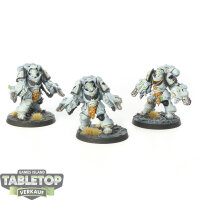 Space Wolves - 3x Aggressor Squad - bemalt
