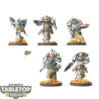 Space Wolves - 5x Sternguard Veteran Squad - bemalt