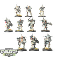 Space Wolves - 10x Infiltrator Squad - bemalt