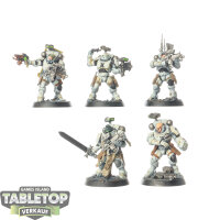 Space Wolves - 5x Incursor Squad - bemalt