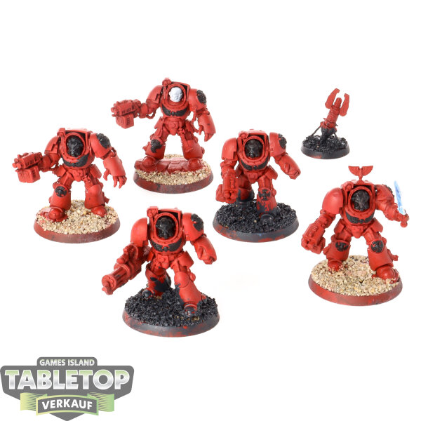 Space Marines - 5x Terminator Squad - teilweise bemalt