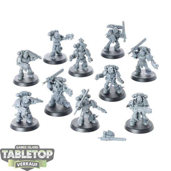 Space Wolves - 10 Grey Hunters klassisch - unbemalt