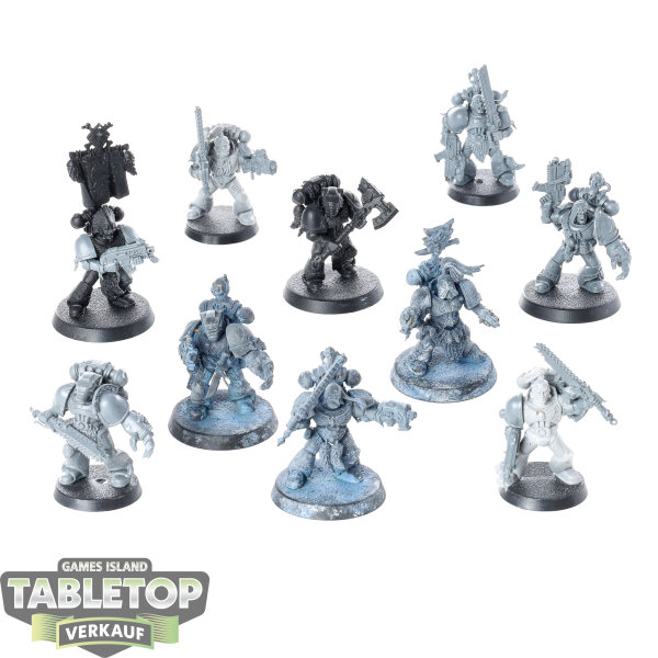 Space Wolves - 10 Grey Hunters klassisch - teilweise bemalt