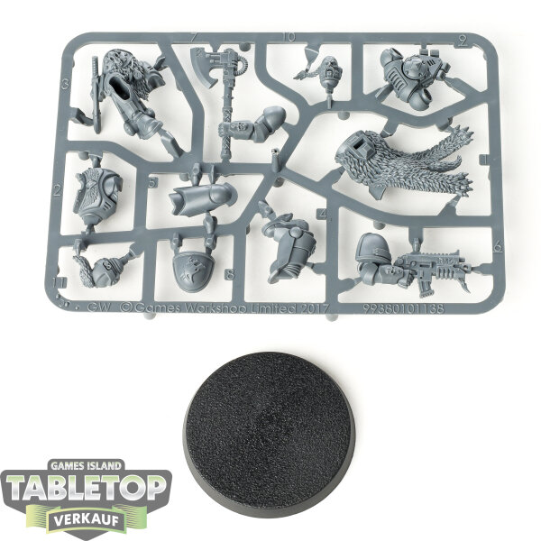Space Wolves - Haldor Icepelt - im Gussrahmen