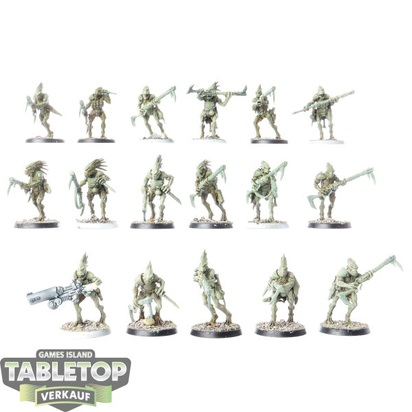 Tau Empire - 17x Kroot Carnivores klassisch - teilweise bemalt
