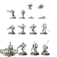 Tau Empire - 10x Fire Warriors Strike Team - bemalt