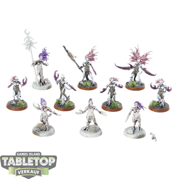 Hedonites of Slaanesh - 10 Daemonettes of Slaanesh - teilweise bemalt