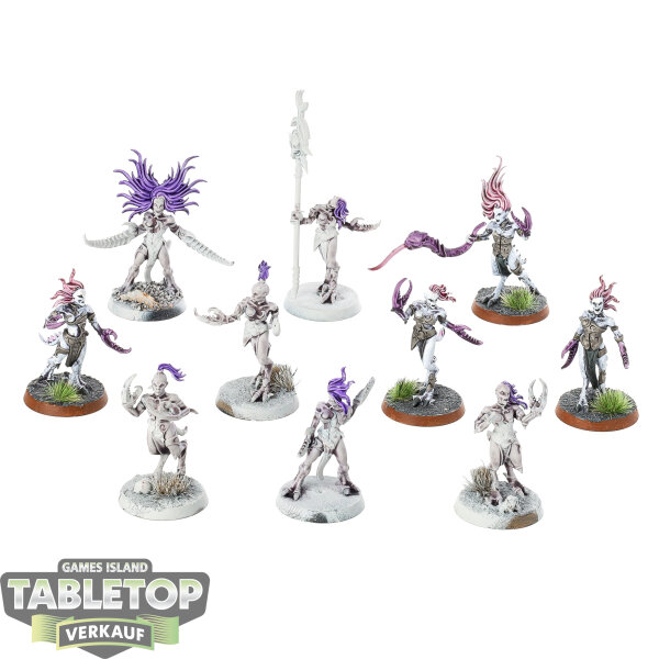 Hedonites of Slaanesh - 10 Daemonettes of Slaanesh - teilweise bemalt