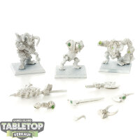 Warriors of Chaos - 3x Chaos Ogre Kommando - grundiert