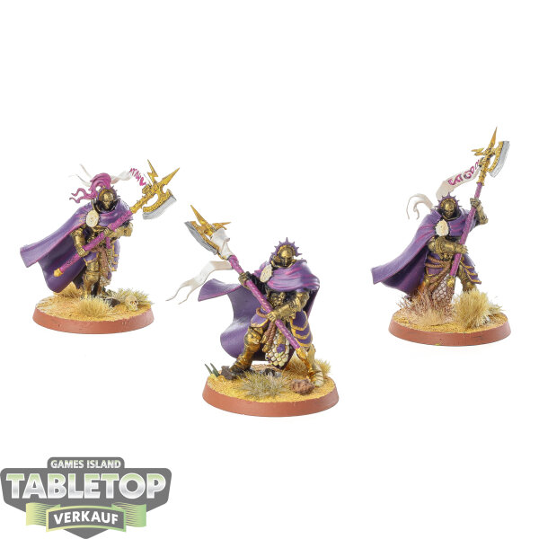 Stormcast Eternals - 3 x Praetors - bemalt